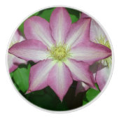 Roze en witte lente van Clematis Keramische Knop (Voorkant)