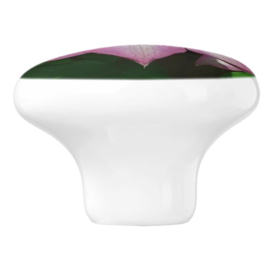 Roze en witte lente van Clematis Keramische Knop (Zijkant)