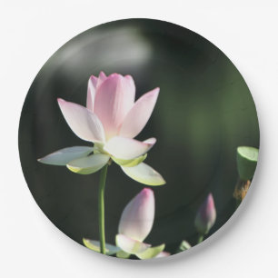 Roze en witte Lotus Flower Papieren Bordje