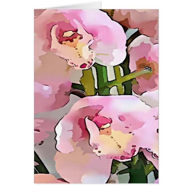 Roze en witte orchidee (Voorkant)