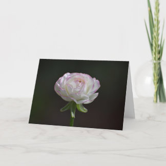 Roze en witte Rose Notecards (Blank Inside) Kaart
