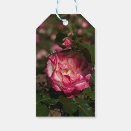 Roze en witte roze cadeaulabel