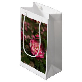 Roze en witte roze klein cadeauzakje