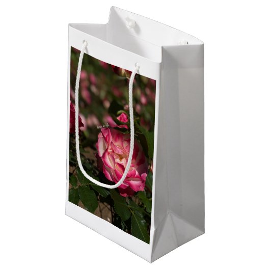 Roze en witte roze klein cadeauzakje (Voorkant Gekanteld)