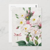 roze en witte rozen en dragonfly briefkaart (Voorkant / Achterkant)
