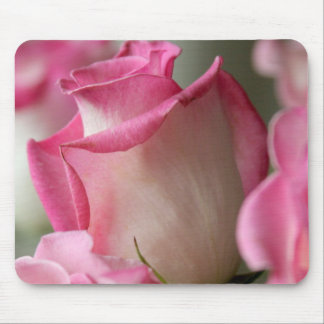 Roze en witte rozen muismat