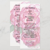 Roze en witte rozen programma (Voorkant / Achterkant)