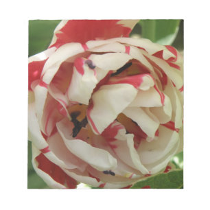 Roze en witte Tulip-laptop Notitieblok