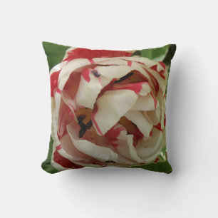 Roze en witte Tulip Pillow Kussen