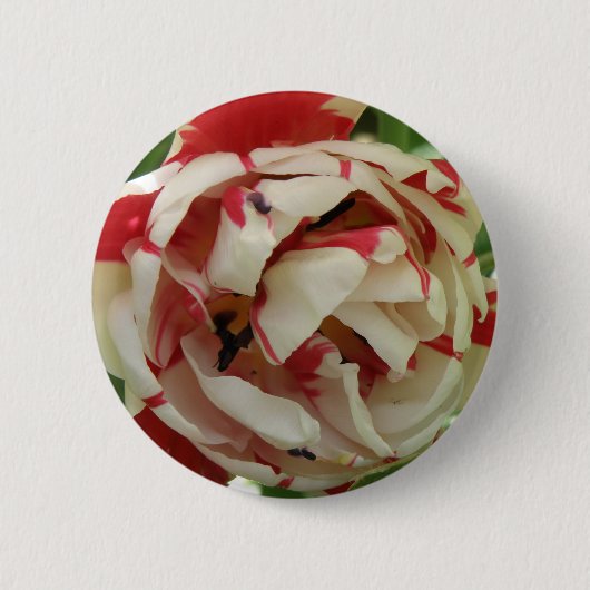Roze en witte Tulp Button (Voorkant)