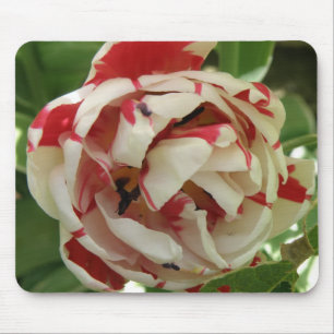 Roze en Witte Tulp Muismat