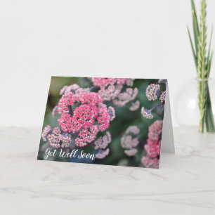 Roze en witte vlinder Stonecup Snel goed Kaart