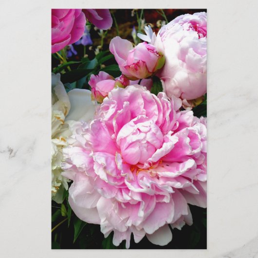 Roze en witte volken briefpapier (Voorkant)