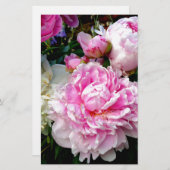 Roze en witte volken briefpapier (Voorkant / Achterkant)