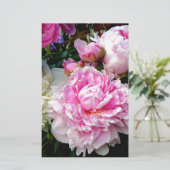 Roze en witte volken briefpapier (Staand voorkant)