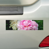 Roze en witte volken bumpersticker (Op auto)