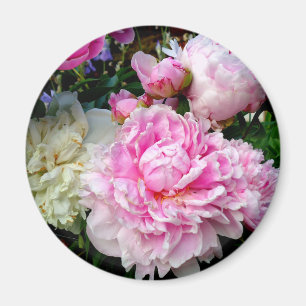 Roze en witte volken magneet