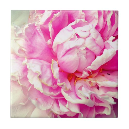 Roze en witte volken tegeltje (Voorkant)