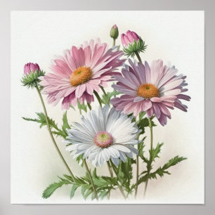Roze Engels Daisy Flower Art Print Poster
