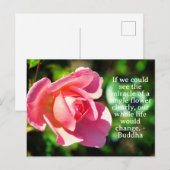 Roze Enig Roos Motivatie Citaat Briefkaart (Voorkant / Achterkant)