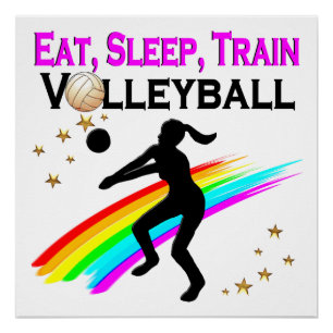 ROZE ETEN, SLAPEN, VOLLEYBAL TRAINEN PERFECT POSTER