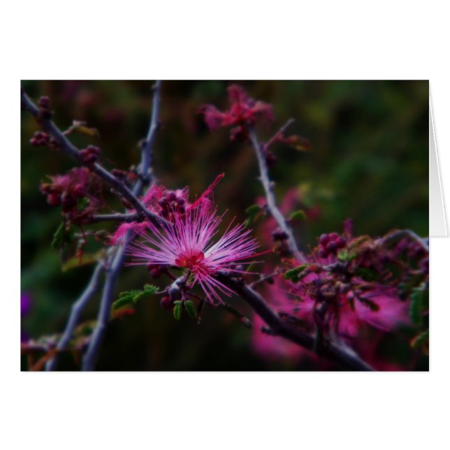 Roze fee duster (Voorkant Horizontaal)