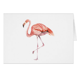Roze Flamingo