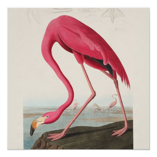 Roze Flamingo Art Perfect Poster (Voorkant)