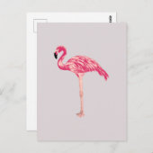 Roze Flamingo Bird Illustration Briefkaart (Voorkant / Achterkant)