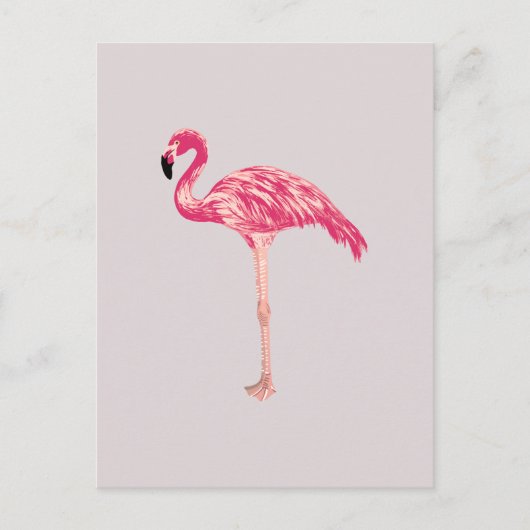 Roze Flamingo Bird Illustration Briefkaart (Voorkant)