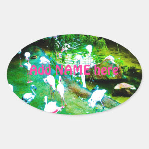 Roze Flamingo Birds Custom Ovale Sticker