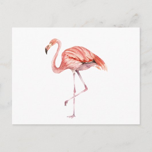 Roze Flamingo Briefkaart (Voorkant)