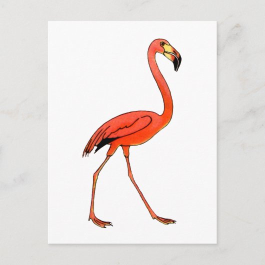 Roze Flamingo Briefkaart (Voorkant)
