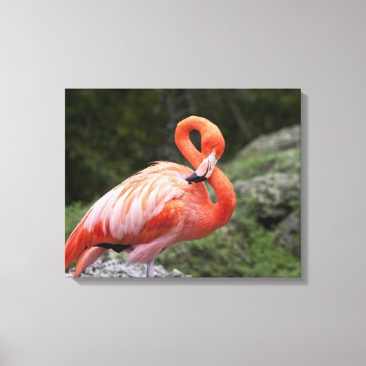 Roze Flamingo Canvas Afdruk (Voorkant)