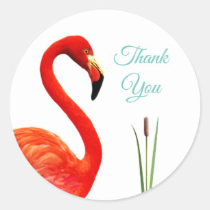 Roze Flamingo Dank Je Classic Ronde Sticker