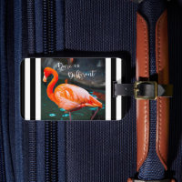 Roze Flamingo Dare is een andere zwarte witte stre