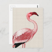 Roze Flamingo en Polka Dots Briefkaart (Voorkant / Achterkant)
