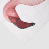  Roze Flamingo Finch Davies 1919 Tissuepapier (Detail)