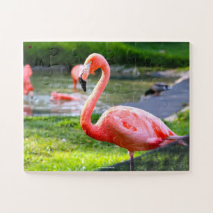 Roze Flamingo Florida. Jigzaag Puzzle Legpuzzel