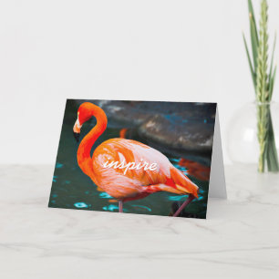 Roze Flamingo Foto inspireren Script Stijlvol Mode Kaart