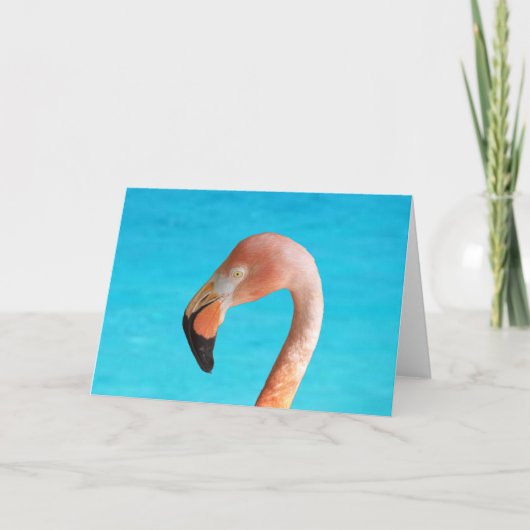 Roze flamingo gezicht tegen blauw water op kaart (Voorkant)