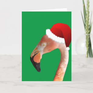 Roze Flamingo in de rode cartoon Santa hat Feestdagen Kaart