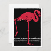  roze flamingo in Duitsland dierentuin München (Voorkant / Achterkant)