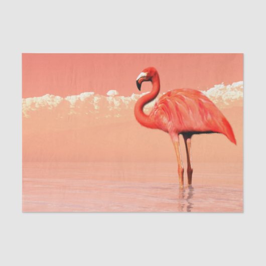 Roze flamingo in water - 3D geeft terug Tissuepapier (Voorkant)