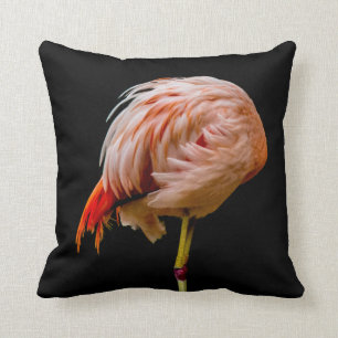 Roze Flamingo Lollipop Kussen