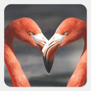 Roze Flamingo Love Sticker