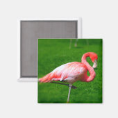 Roze Flamingo Magneet (Voorkant / Achterkant)