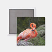 Roze Flamingo Magneet (Voorkant / Achterkant)