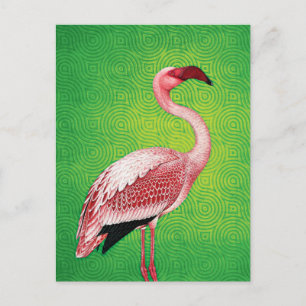Roze Flamingo op Retro Green Pattern Briefkaart