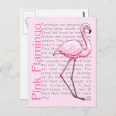 Roze flamingo op tekst briefkaart (Voorkant / Achterkant)